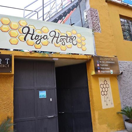Hoja Hostel 티라나 외부 사진