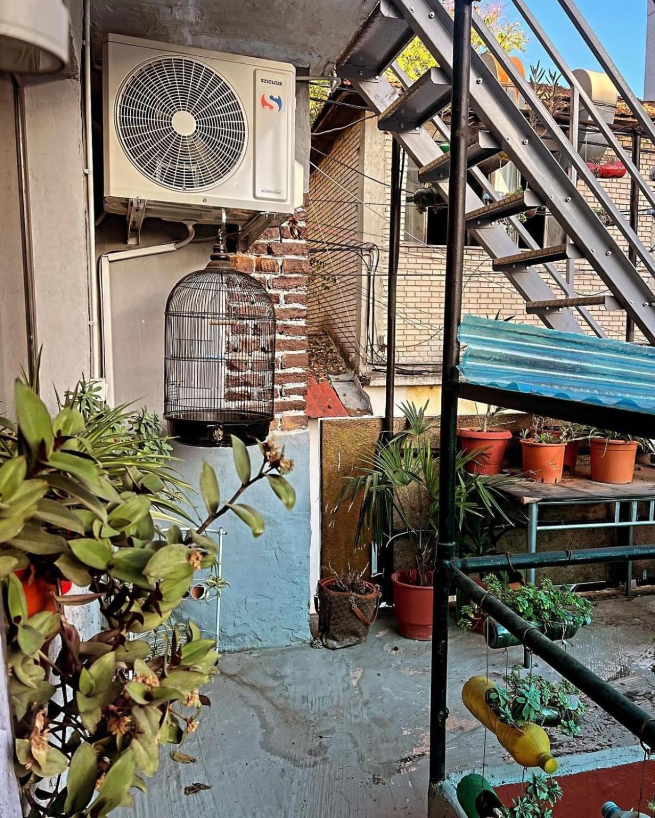 Hoja Hostel 티라나 외부 사진